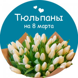Купить тюльпаны в Протвино